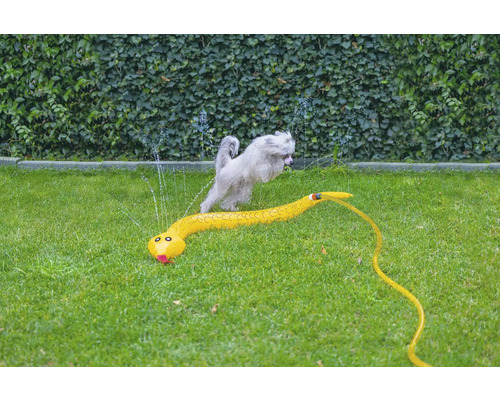 Hund springt über einen gelben Wassersprinkler in Schlangenform auf einer Rasenfläche.