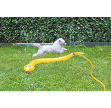 Hund springt über Rasensprenger in Schlangenform