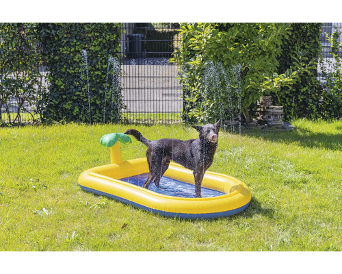Hund steht in einem aufblasbaren Hundepool im Garten.