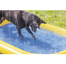 Ein Hund planscht in einem gelben Planschbecken.