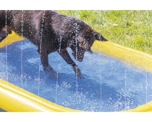Ein Hund planscht in einem gelben Planschbecken.