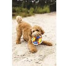 Hund mit Hundespielzeug im Maul