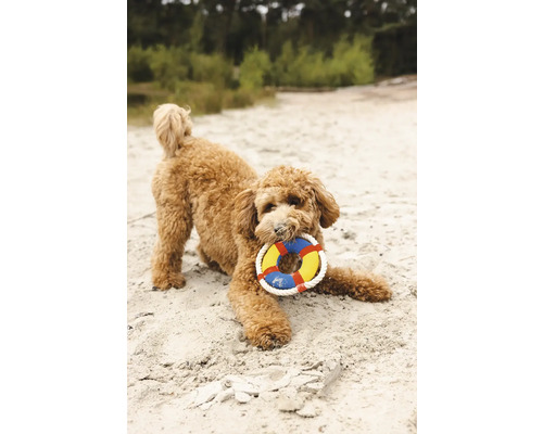 Hund mit Hundespielzeug im Maul