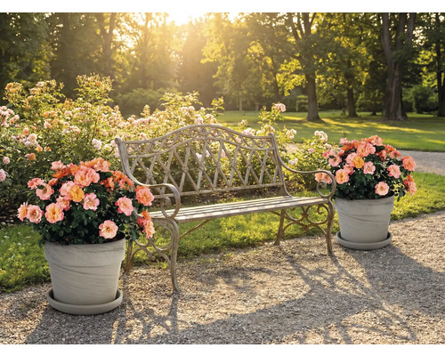 Szene mit Gartenbank und Blumentöpfen im Außenbereich