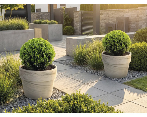 Gestalteter Garten mit Pflanzenkübeln und Gehwegplatten