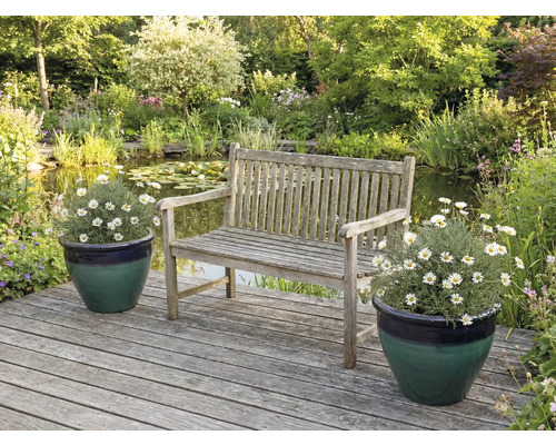 Gartenszene mit Holzbank, Teich und Topfpflanzen auf Holzterrasse
