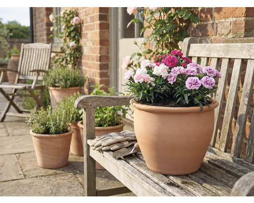 Terracottatopf mit Nelken auf einer Holzbank im Garten.