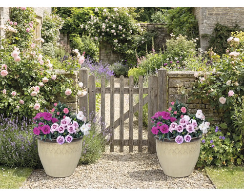 Gartenszene mit zwei bepflanzten Töpfen und Holztor