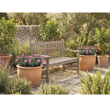 Gartenbereich mit Holzbank und Blumentöpfen