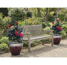 Gartenbank aus Holz mit zwei Topfpflanzen im Garten