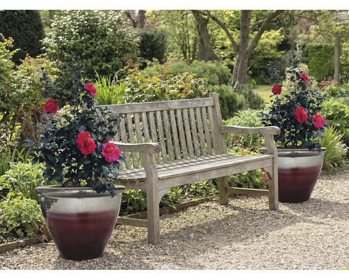 Gartenbank aus Holz mit zwei Topfpflanzen im Garten
