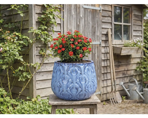 Dekorativer Pflanztopf mit roter Rose auf einem Holzschemel vor einem Gartenschuppen.