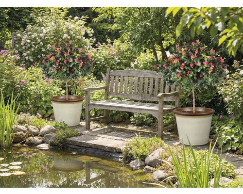 Garten mit Teich, Bank und zwei Rosenbäumchen in Töpfen