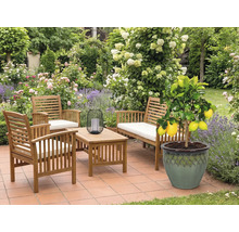 Gartenmöbelset aus Holz mit Zitronenbaum im Topf auf einer Terrasse