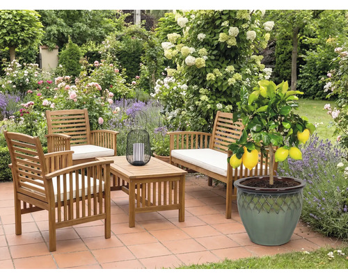 Gartenmöbelset aus Holz mit Zitronenbaum im Topf auf einer Terrasse