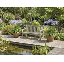 Gartenszene mit einer Holzbank, Agapanthus in Töpfen und einem Teich