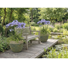 Gartenszene mit Bank, Teich und Topfpflanzen