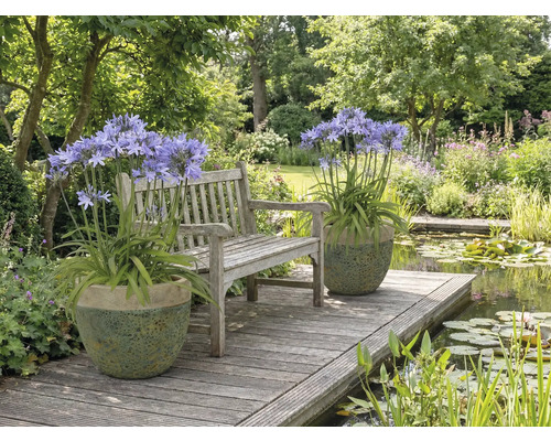 Gartenszene mit Bank, Teich und Topfpflanzen