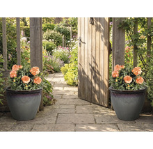 Dekorativer Gartenweg mit zwei Pflanzgefäßen und einem Gartentor