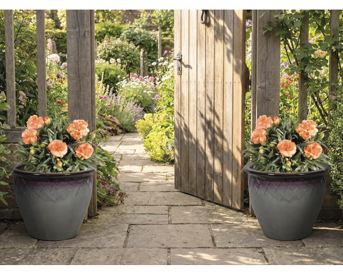 Dekorativer Gartenweg mit zwei Pflanzgefäßen und einem Gartentor