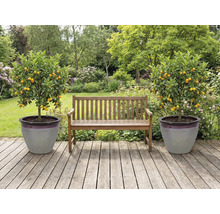 Garten mit Holzbank und zwei Mandarinenbäumen in Pflanzgefäßen auf einer Holzterrasse.