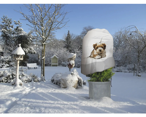 Winterlandschaft mit Pflanzenschutzsack mit Hundemotiv zum Schutz von Pflanzen im Garten.
