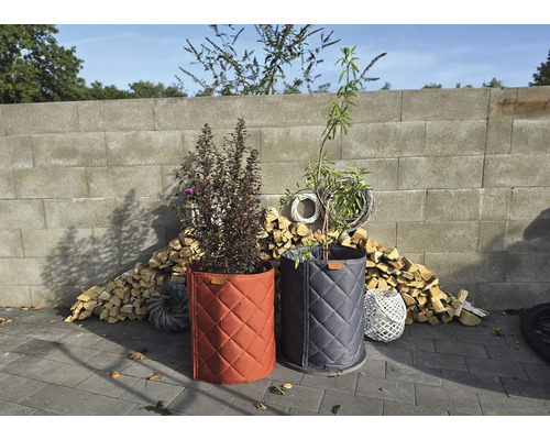 Zwei Steko Pflanztaschen mit Pflanzen vor einer Mauer und Holzstapel