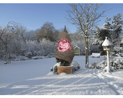 Winterlandschaft mit Pflanze im Topf und Winterschutzhülle mit Rosenmotiv