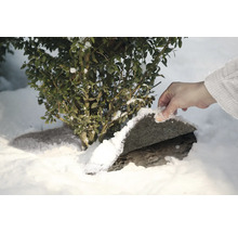Szene im Wintergarten mit Buchsbaum und Hand, die Schnee wegräumt