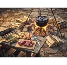 Szene mit Dutch Oven über offenem Feuer, umgeben von Brennholz, mit Zutaten wie Fleisch, Kartoffeln und Gemüse auf einem Holztisch