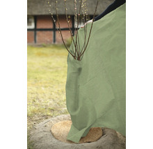 Winterschutz für Pflanzen aus Jute im Garten