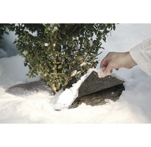 Strauch im Schnee wird mit einer Steinplatte vor Frost geschützt