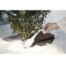 Wintervlies zum Schutz von Pflanzen vor Frost