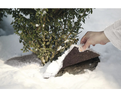 Wintervlies zum Schutz von Pflanzen vor Frost