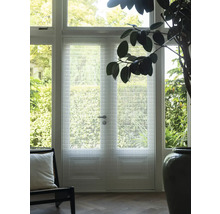 Innenraum mit Tür mit Glasstruktur, Sessel und Zimmerpflanze