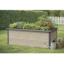 Hochbeet aus Holz mit verschiedenen Gemüsesorten, Gießkanne und Korb mit Blumen im Garten