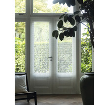 Doppeltür mit Dekorfolie und Tageslichteinfall in einem Wohnraum.