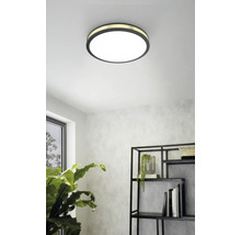 Runde Deckenleuchte im Wohnraum mit Regal und Zimmerpflanze