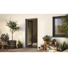 Terrasse mit Terrassentür, Fenster und Pflanzen