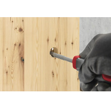 Ein Holzbrett wird mit einer Raspel bearbeitet.
