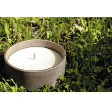 Dekorative Kerze in einem Gefäß auf einer Wiese mit Gänseblümchen