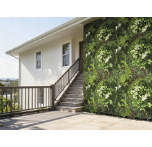 Hauswand mit vertikalem Garten und Treppe