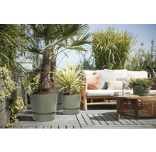 Moderner Außenbereich mit olivgrünen Pflanztöpfen, einer Palme und einem Holzsofa mit Kissen auf einer grauen Holzterrasse.