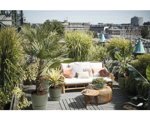 Dachterrasse mit Holzsofa, Polstern, Zierkissen, runden Beistelltischen und verschiedenen Kübelpflanzen wie Palmen und Ziergräsern.