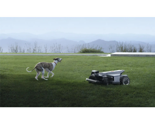 Ein dunkler Mähroboter auf einem grünen Rasen neben einem laufenden Hund vor einer Gebirgslandschaft.