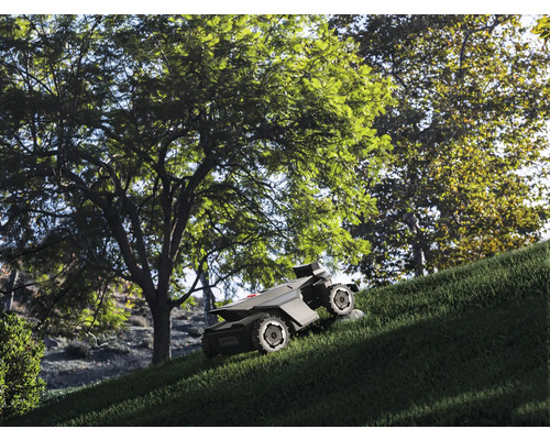 Mähroboter mit Allradantrieb mäht einen steilen Grashang unter großen grünen Bäumen in einem Garten.