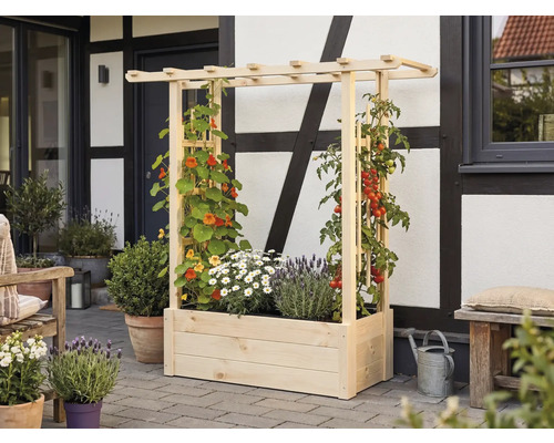 Rechteckiger Pflanzkasten aus Holz mit Pergola-Rankhilfe, bepflanzt mit Kapuzinerkresse, Tomaten und Lavendel auf einer gepflasterten Terrasse.