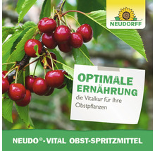 Neudorff Logo, Neudo-Vital Obst-Spritzmittel für optimale Ernährung und Vitalkur von Obstpflanzen, Darstellung reifer Kirschen am Baum.