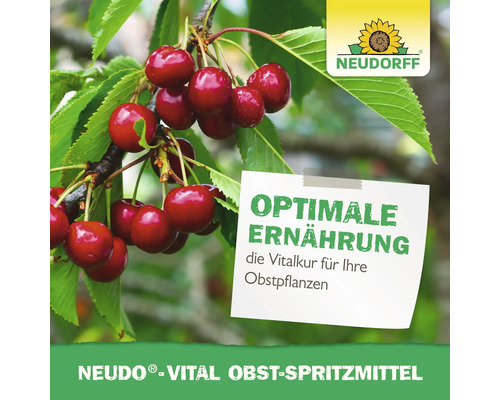 Neudorff Logo, Neudo-Vital Obst-Spritzmittel für optimale Ernährung und Vitalkur von Obstpflanzen, Darstellung reifer Kirschen am Baum.