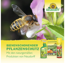 Biene auf einer Blüte und verschiedene bienenschonende Neudorff Pflanzenschutzmittel sowie das Neudorff Logo.